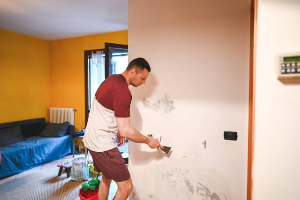 Best Post-Flood Mold Remediation in Byron, GA